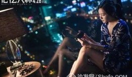 记忆大师在线观看,揭秘记忆之谜，在线观看带你领略记忆的力量