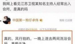 卓伟爆料张颖案件视频,张颖案件背后惊人内幕